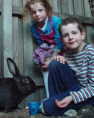 My Rabit Hoppy