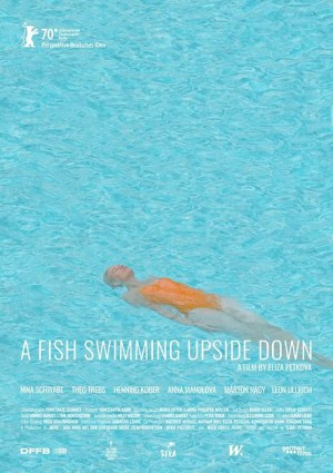 Ein Fisch, der auf dem Rücken schwimmt