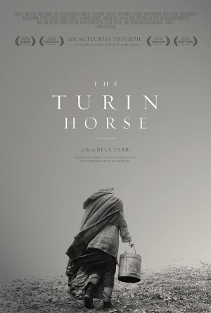 El caballo de Turín