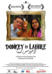 Donkey in Lahore