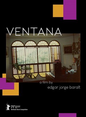 Window