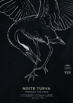 Noite Turva