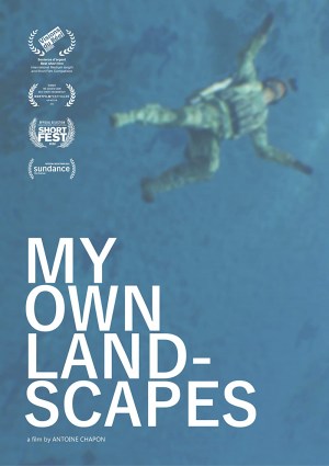 My Own Landscapes
