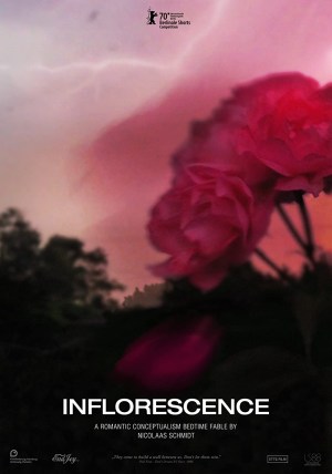 Inflorescence