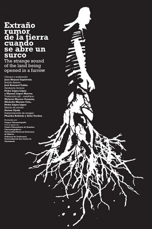 Extraño rumor de la tierra cuando se atraviesa un surco