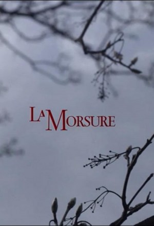 La morsure