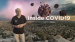 Inside COVID19