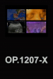 OP.1207-X