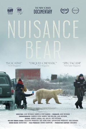 Nuisance Bear Nuisance Bear