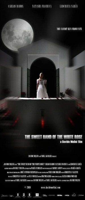 The Sweet Hand of the White Rose