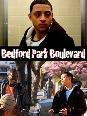 Bedford Park Boulevard