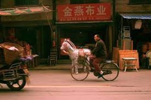 Rao yi sheng