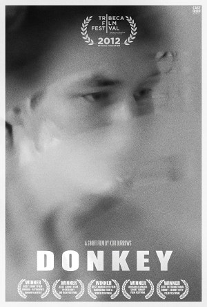 Donkey