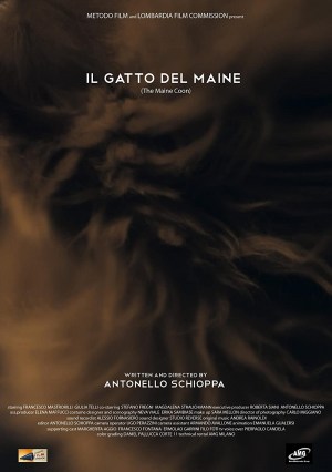 Il gatto del Maine