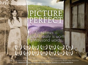 Picture Perfect