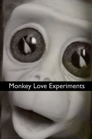 Monkey Love Experiments Monkey Love Experiments