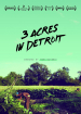 3 Acres in Detroit