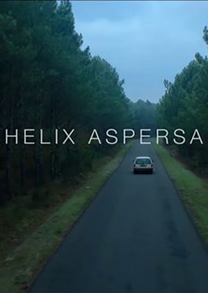 Helix Aspersa