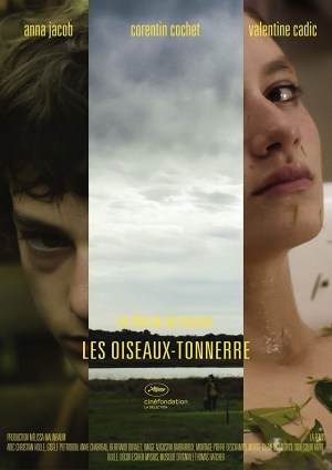 Les oiseaux-tonnerre