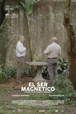 El ser magnético