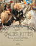 Walter Potter: The Man Who Married Kittens