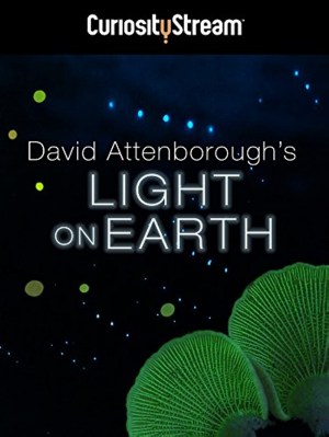 Attenborough's Life That Glows