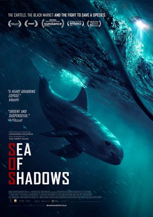 Sea of Shadows Sea of Shadows