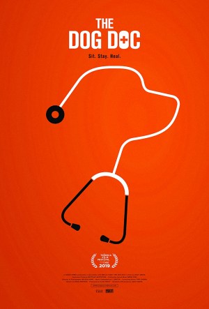 The Dog Doc The Dog Doc