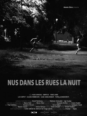 Nus dans les rues la nuit