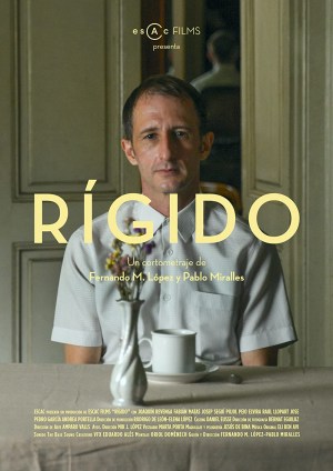 Rígido