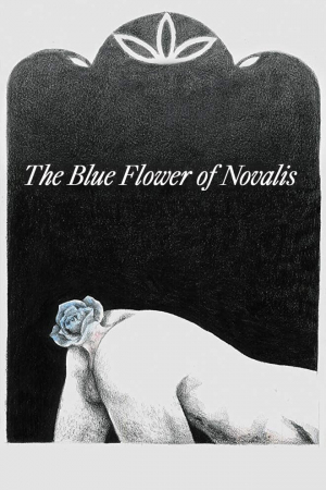 A Rosa Azul de Novalis
