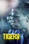 Película Tigers