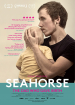 Seahorse