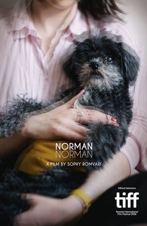 Norman Norman