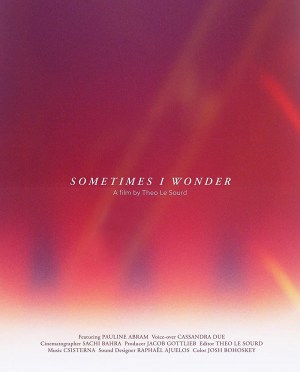 Sometimes I Wonder