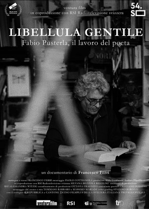Libellula Gentile Libellula Gentile