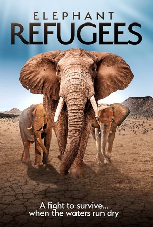 Elephant Refugees