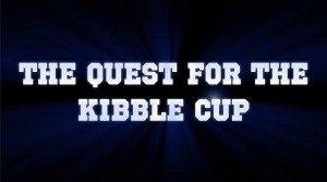 The Quest for the Kibble Cup