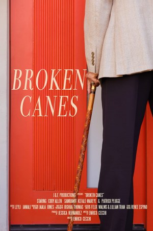 Broken Canes