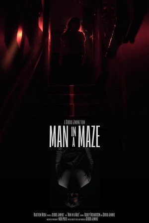 Man in a Maze