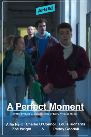 A Perfect Moment