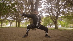 The Art of Kung Fu