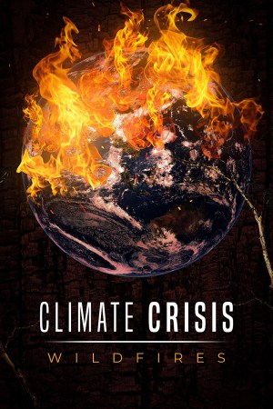 Climate Crisis: Wildfires