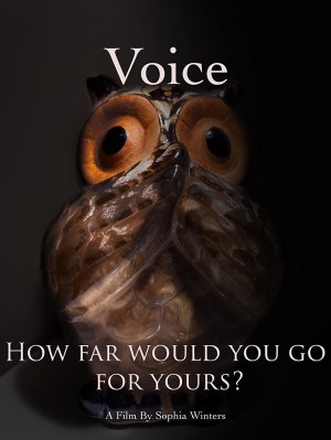 Voice