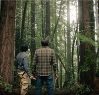 Typhoon: We're in It