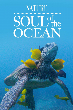 Soul of the Ocean Soul of the Ocean