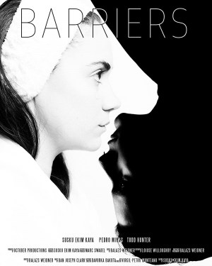Barriers