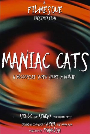 Maniac Cats