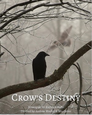 Crow's Destiny