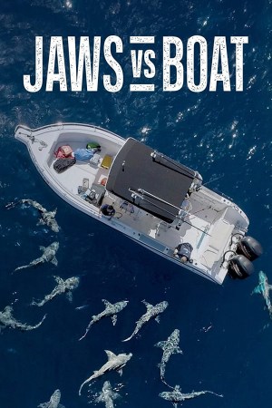 Need A Bigger Boat